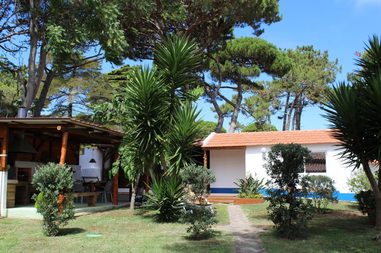 Vila Casinha Do Pinhal Colares Exteriér fotografie