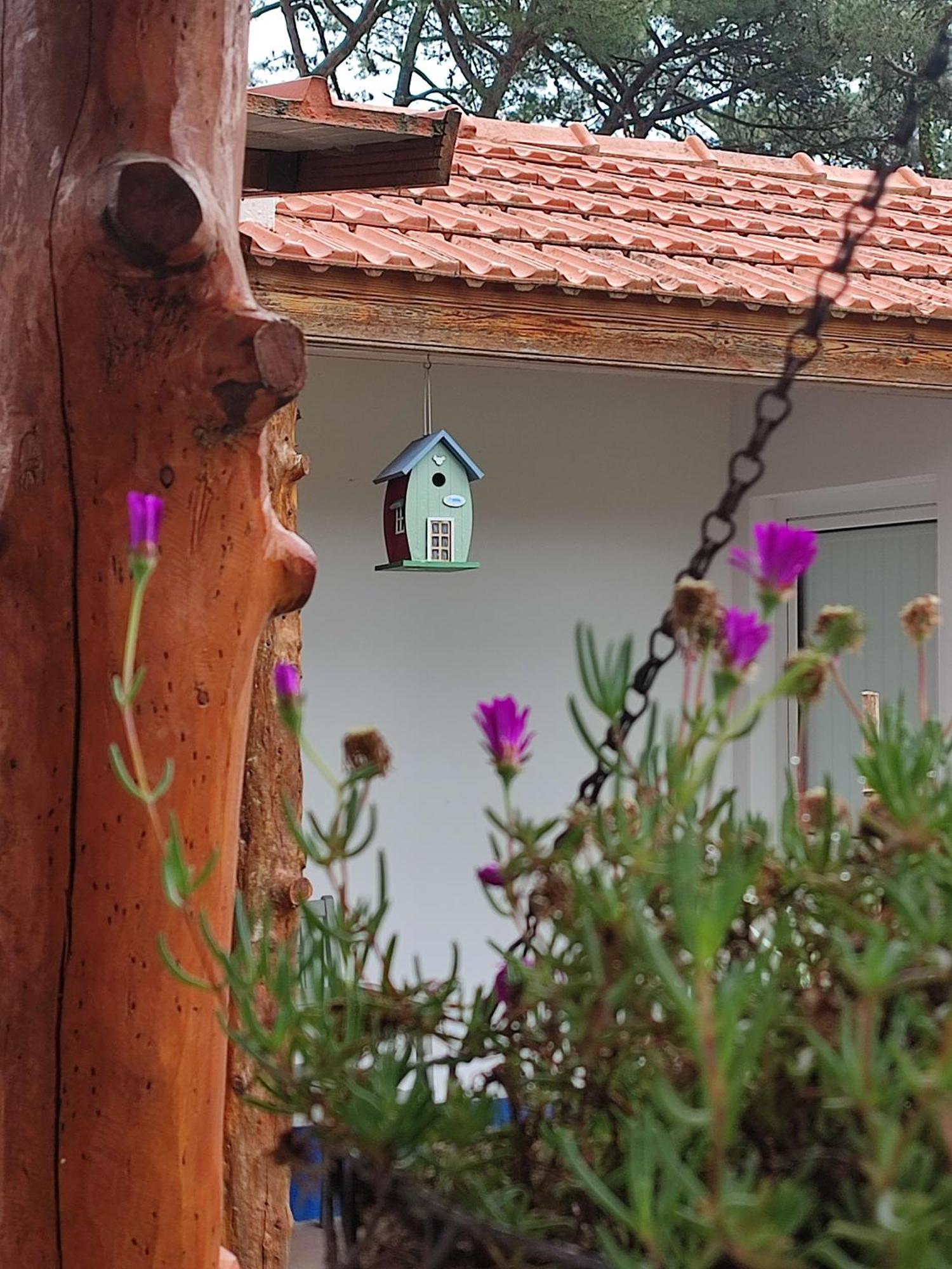Vila Casinha Do Pinhal Colares Exteriér fotografie